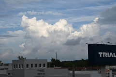 DSC_0029