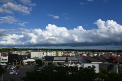 DSC_0031