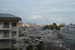 DSC_0021